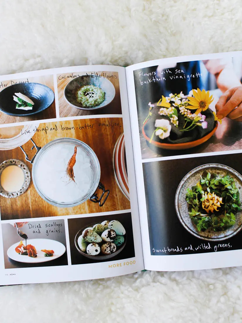 Edibleselby Flying Kiwi