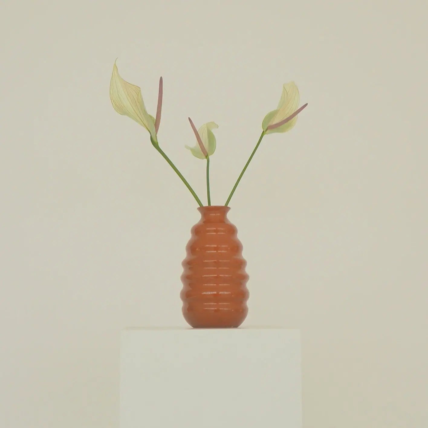Wave Vase Valeria Vasi